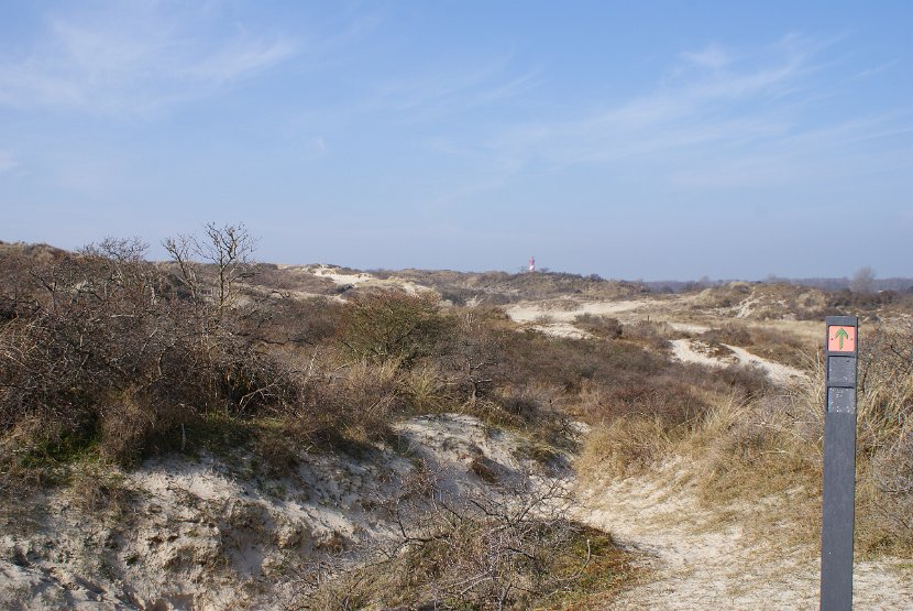 Pannenkoekenmolenloop 2016 - 40
